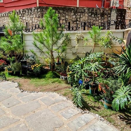 Wasabi House - Homestay Ben Cho Dalat Bagian luar foto