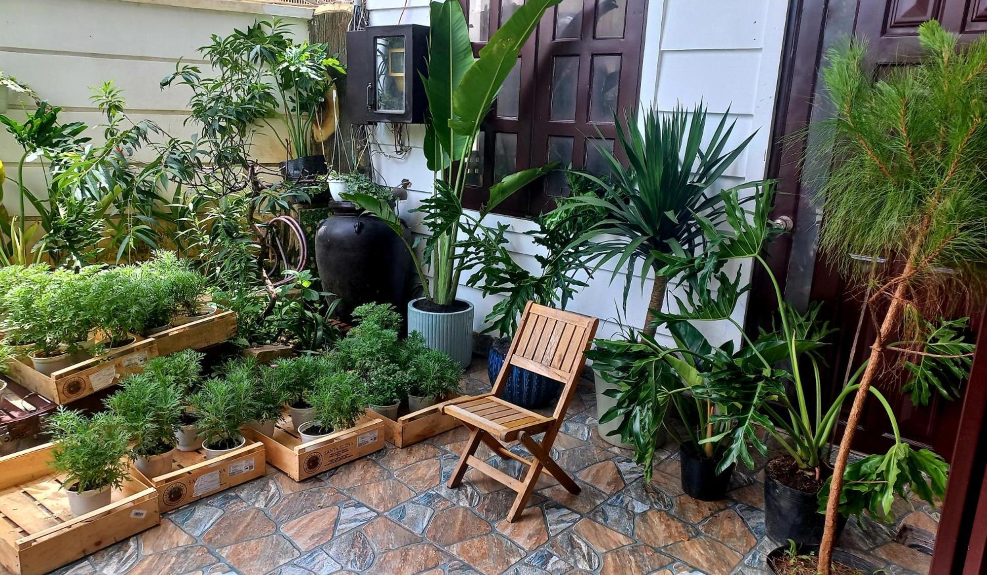 Wasabi House - Homestay Ben Cho Dalat Bagian luar foto