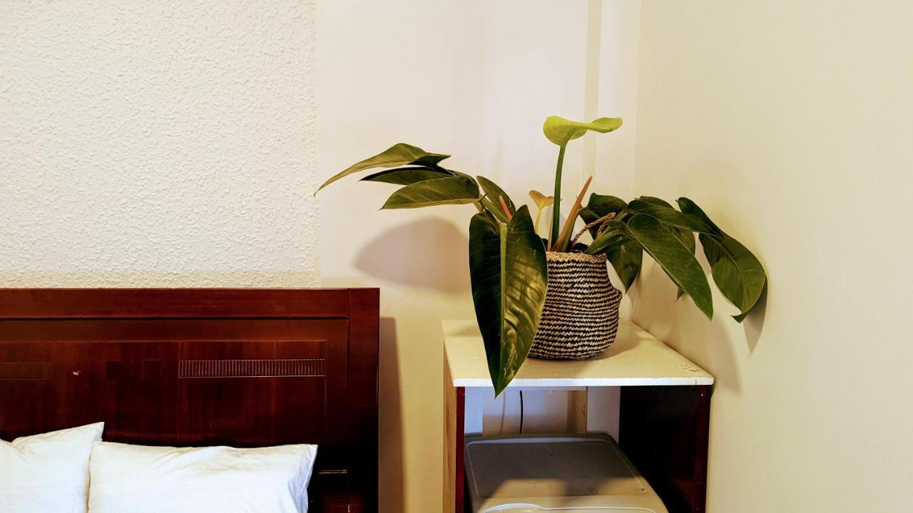 Wasabi House - Homestay Ben Cho Dalat Bagian luar foto