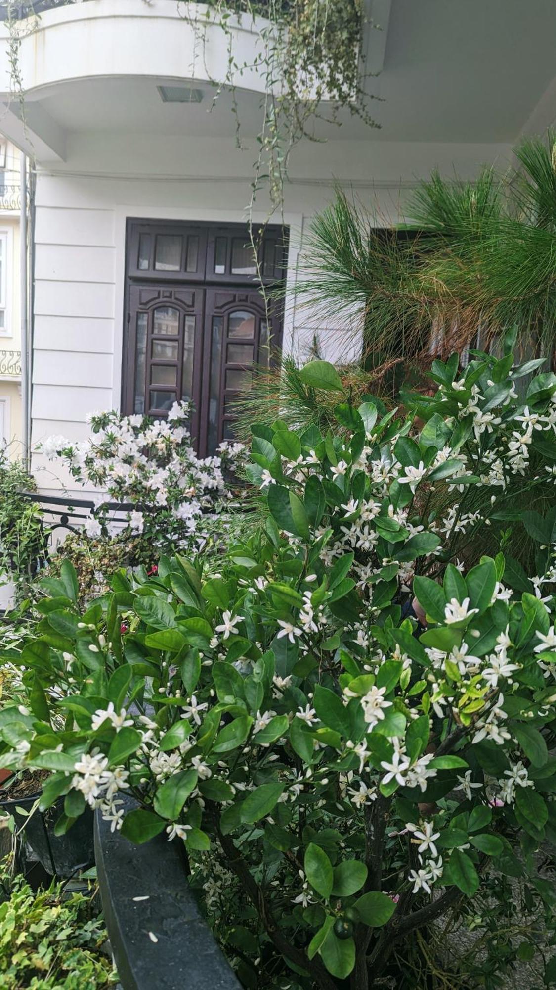 Wasabi House - Homestay Ben Cho Dalat Bagian luar foto